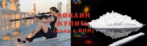 гашик Кодинск