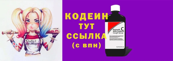 гашик Кодинск