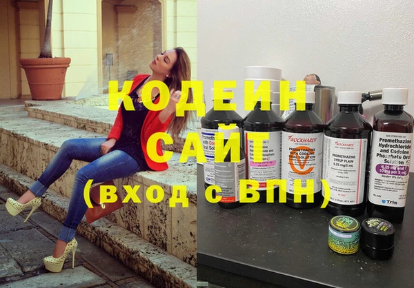 гашик Кодинск